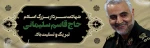 شهادت ذوالفقار سید علی 2