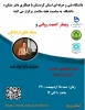 وبینار امنیت روانی وسبک های ارتباطی 2