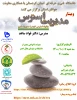 گواهی وبینار مدیریت استرس 2