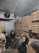 دیدار اعضای شورای صنفی و رفاهی دانشجویان  مراکز پسران ودختران سنندج با رئیس دانشگاه ملی مهارت واحد استان کردستان 10