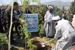 پویش نهال امید در دانشگاه ملی مهارت کردستان  6