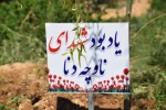 پویش نهال امید در دانشگاه ملی مهارت کردستان  12