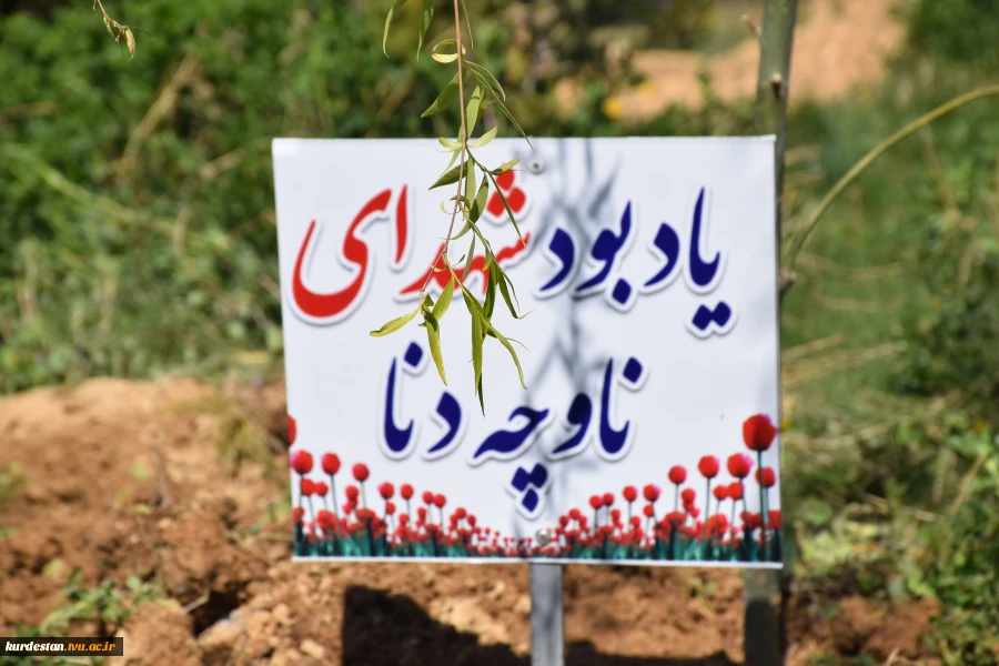 پویش نهال امید در دانشگاه ملی مهارت کردستان  12